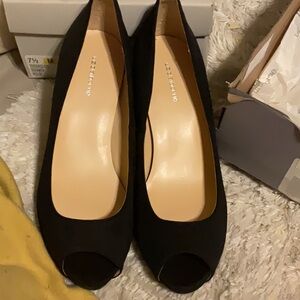 Elegant Black Peep-Toe Women's Shoes